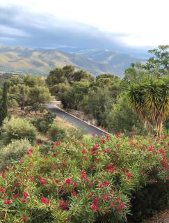 Château de la Sybille, vue imprenable sur le Canigou et les Orgues d'Ille sur Têt - 1
