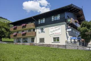 Gasthof Aschenwald - Westendorf - 3