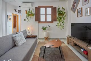 Apartamento Obispo centro Jerez de la Frontera - Jerez de la Frontera - 8