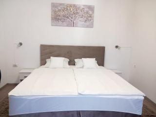 Apartment Centar - Slavonski Brod - 9