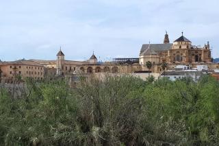 El Encanto de Miraflores - Córdoba - 1
