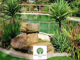 Quinta das Carbonças - Fafe - 5