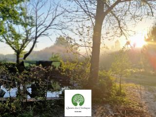 Quinta das Carbonças - Fafe - 1