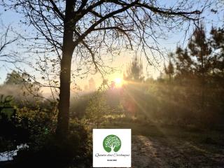Quinta das Carbonças - Fafe - 2