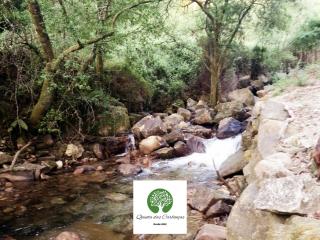 Quinta das Carbonças - Fafe - 3
