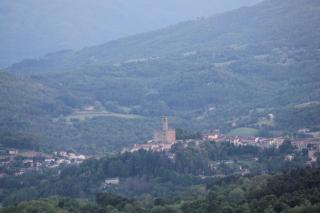 Fattoria di Belvedere - Poppi - 8