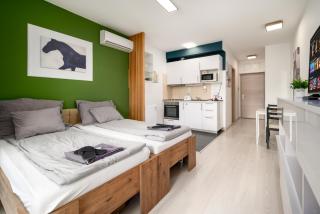 Atrium Residence Deluxe suite-Free Parking garage same building - Budapest - 4