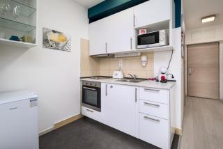 Atrium Residence Deluxe suite-Free Parking garage same building - Budapest - 1