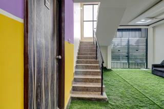 Super Collection O Olive - 8