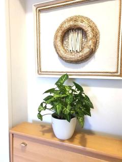 Zielony apartament. - 6