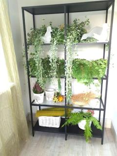 Zielony apartament. - 1