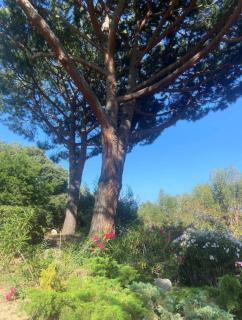 Appart 2P Vue Mer Panoramique Cannes Eden - 4