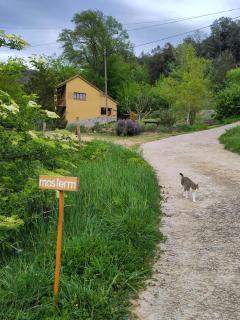 Apartament a Mas l'Erm - Girona - 0