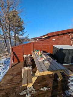 Senja - Charming cottage by the sea with terrace and fantastic view - Finnsnes - 5