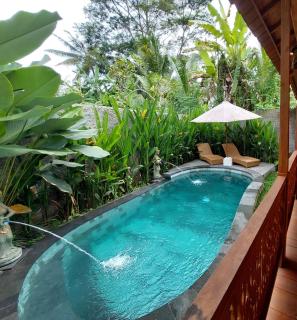 D'ethnic Private villa ubud - Ubud - 8