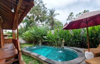 D'ethnic Private villa ubud - Ubud - 3