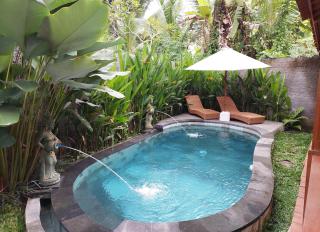 D'ethnic Private villa ubud - Ubud - 4