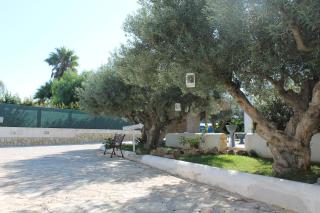 Signorino Eco Resort & Spa - 6