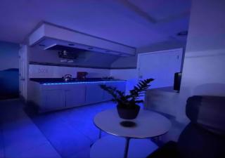 Brooklyn Spacious Space With Private Entrance, Bathroom, & Backyard - Full-kitchen - Brooklyn - 6