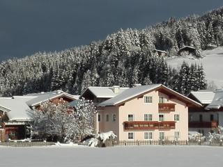 Ferienwohnungen Reiter - Flachau - 1