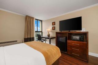 Comfort Inn Oceanside Deerfield Beach - Deerfield Beach - 3