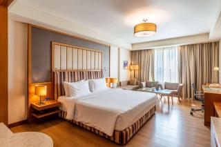Radisson Blu Hotel, Indore - Indore - 3