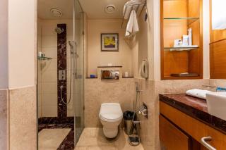 Radisson Blu Hotel, Indore - 1