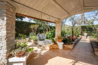 Il Piccolo Paradiso - Ficus & Mimosa Apartments - Martina Franca - 7