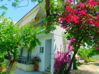Κωνσταντίνος Έλενα Studios - Pefki - 9
