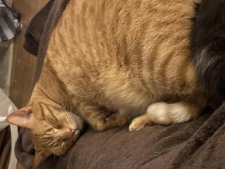 Hof Lebenslust für Mensch und Tier - 5