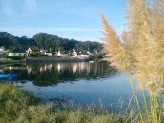 La presqu' île du Lenn face à la mer - Louannec - 7