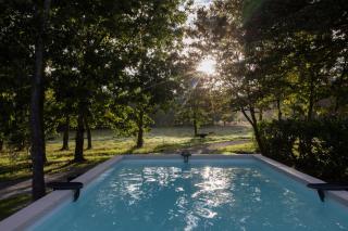 L ost in Sensations -Hébergements Insolites et Suites de luxe Spa Sauna Piscine Forêt - 9
