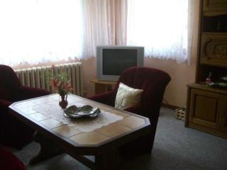 Freistehendes Ferienhaus In Ruhiger Lage - Großbreitenbach - 5
