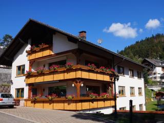 Gästehaus Hanni - Todtmoos - 8