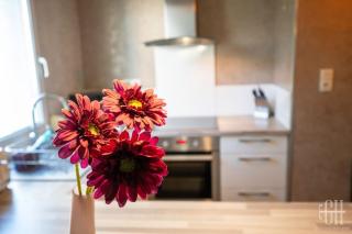 Le Dahlia / Jardin Botanique - La Riche - 6