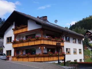 Gästehaus Hanni - Todtmoos - 9
