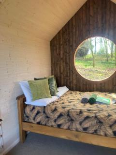 Sugi wooden pod - York - 9