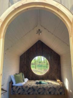 Sugi wooden pod - York - 1