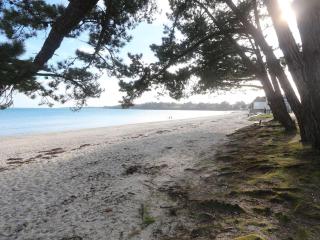 Appartement rénové à Fouesnant, 4 pers. à 50m de la plage de Cap Coz, parking privé - FR-1-481-155 - 2