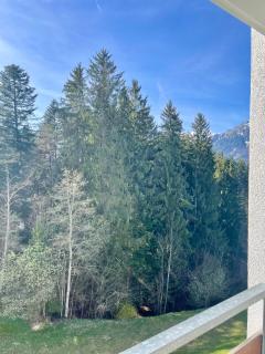 Apartment Berghof Ellmau - Ellmau - 3
