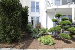 Seehaus zur Strandbrücke - Haffkrug - 8