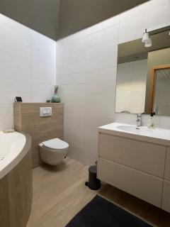 Spacious & luxurious family home w hot & cold tub & sauna - Reikiavik - 1