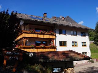 Gästehaus Hanni - Todtmoos - 6