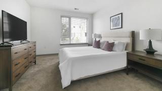 Landing at The Frasier - 2 Bedrooms in Potomac Yard - 1