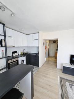 Vicky apartman - Kragujevac - 0