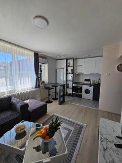 Vicky apartman - Kragujevac - 6