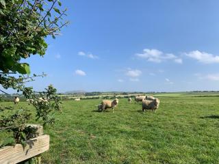 Rescorla Retreats - Blossom - St Austell - 4