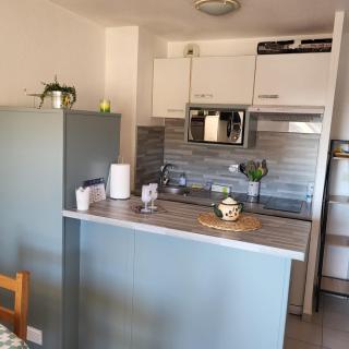 CLOS ST CYPRIEN Superbe T2 proche plage et port - terrasse - Piscine - parking - Saint-Cyprien - 2