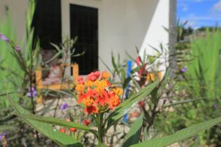 Style and Comfort Full Kigali Rwanda Apartment - Kigali - 6