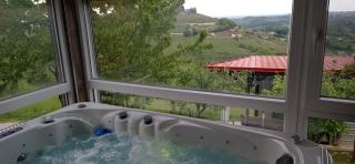 Apartment Gajsek - Zavrč - 1